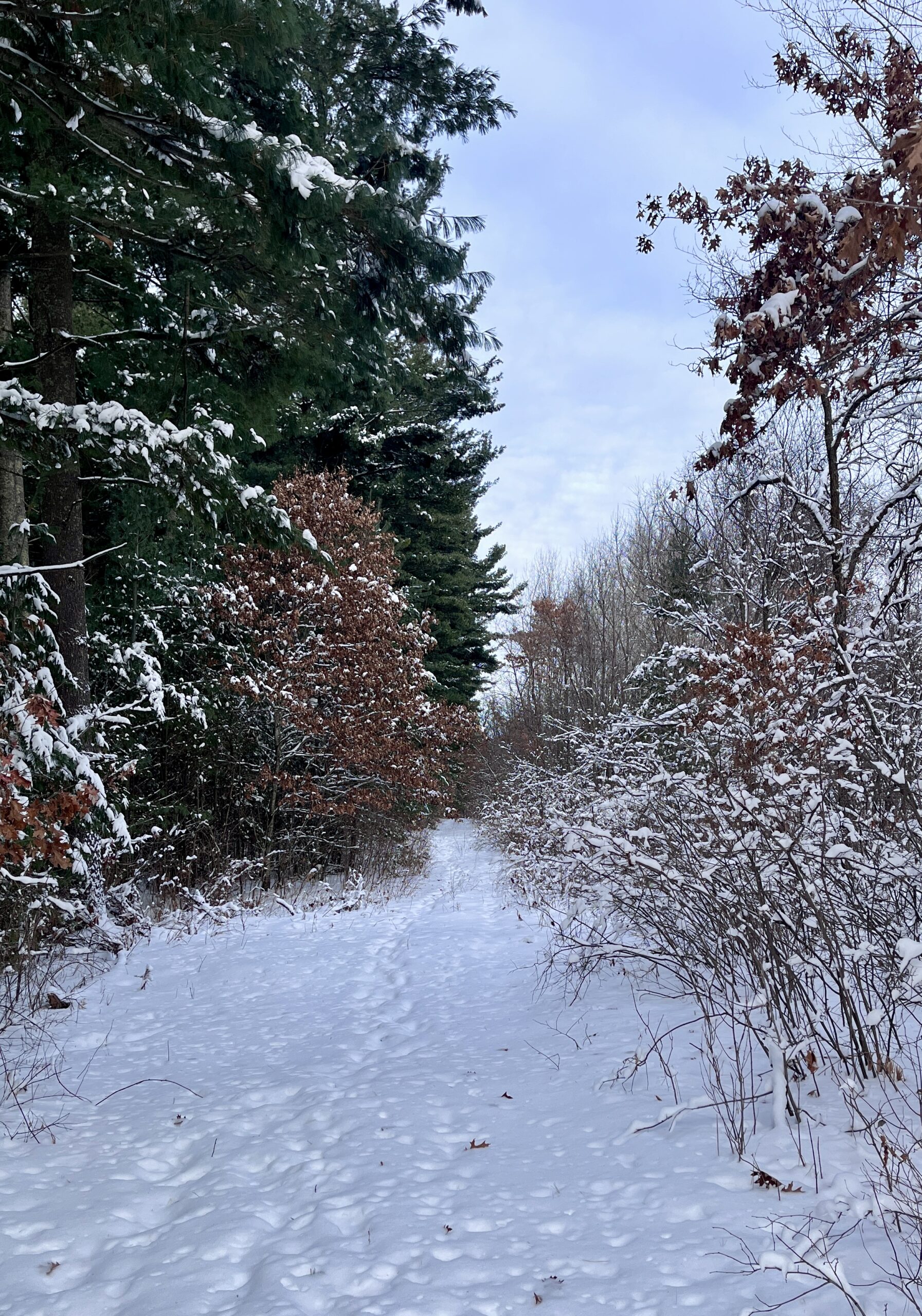 Charting a New Path | Clean Your Inner House